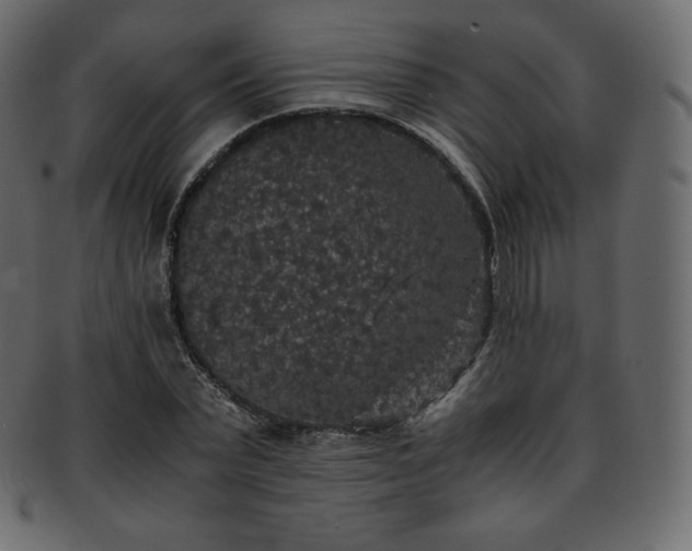 X0000093370783200710191115