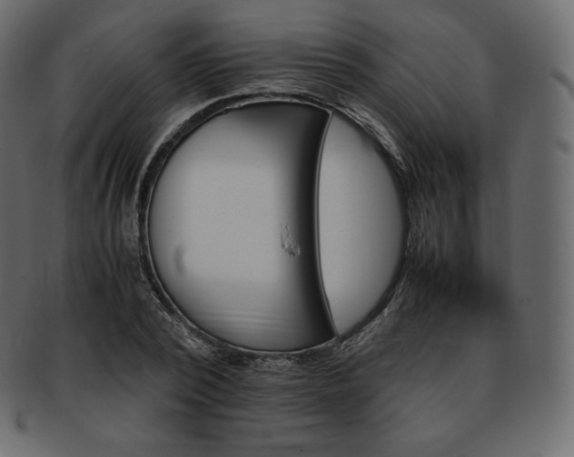 X0000093370784200710191115