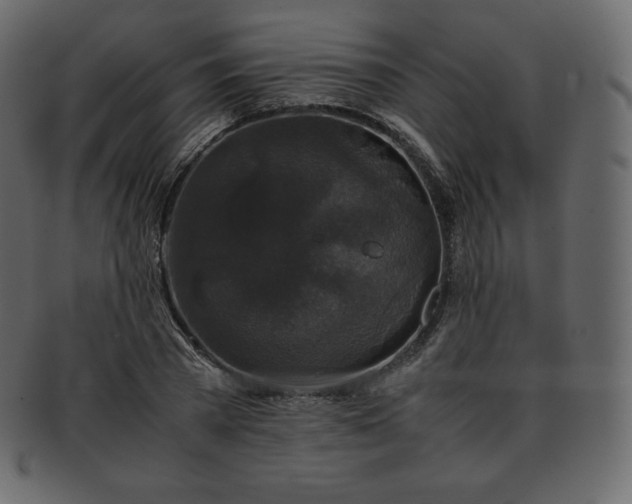 X0000093370785200710191115