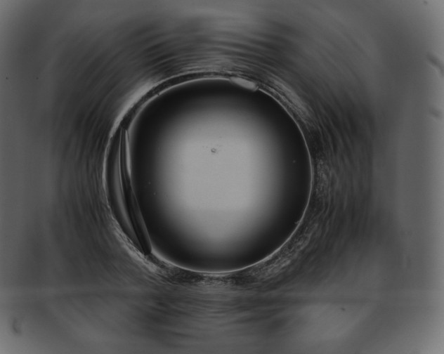 X0000093370788200710191115