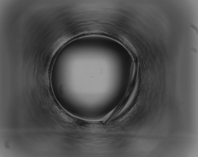 X0000093370789200710191115