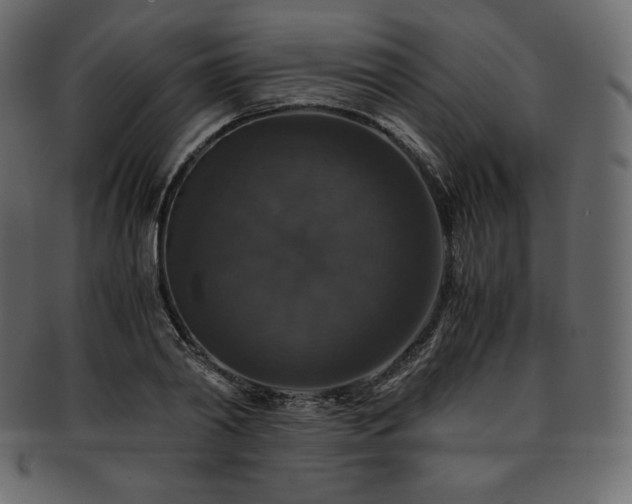 X0000093370790200710191115