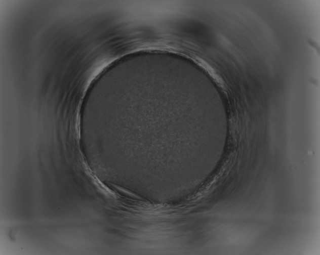 X0000093370791200710191115