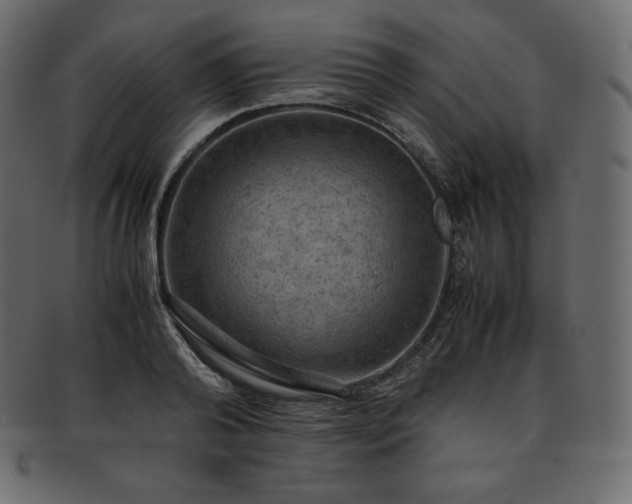 X0000093370792200710191115