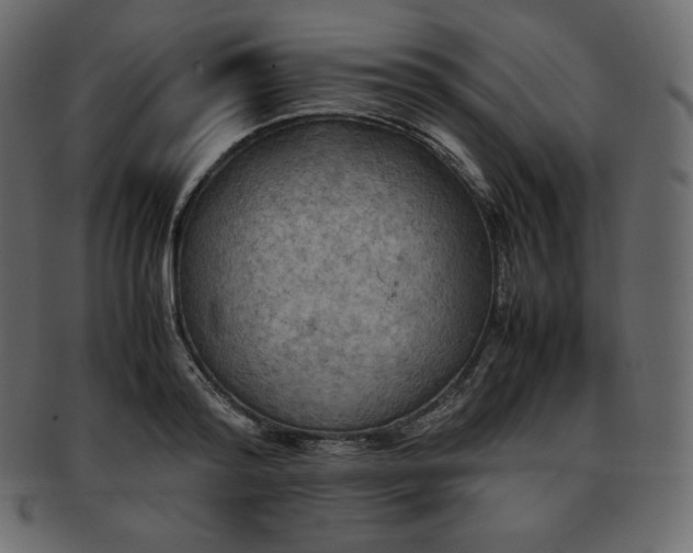 X0000093370796200710191115