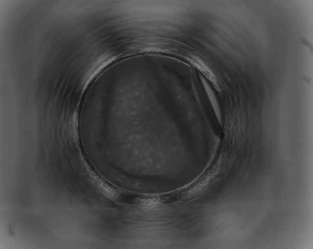 X0000093370798200710191115