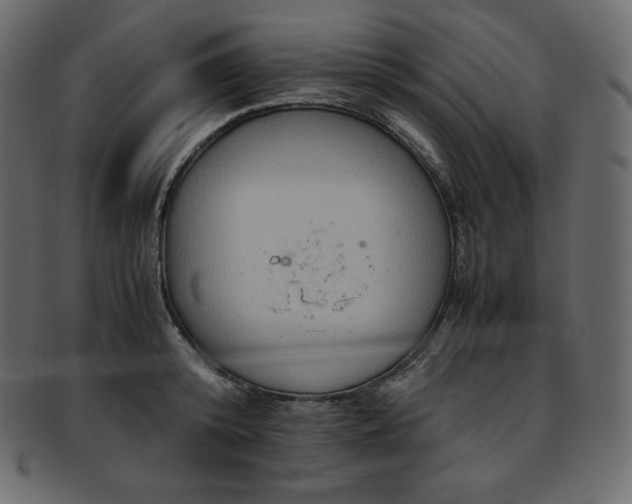 X0000093370800200710191115