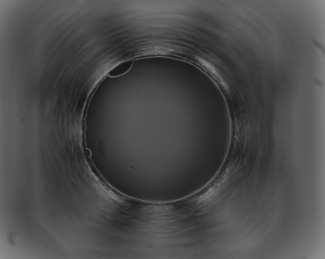 X0000093370802200710191115