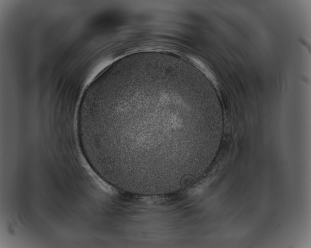 X0000093370803200710191115