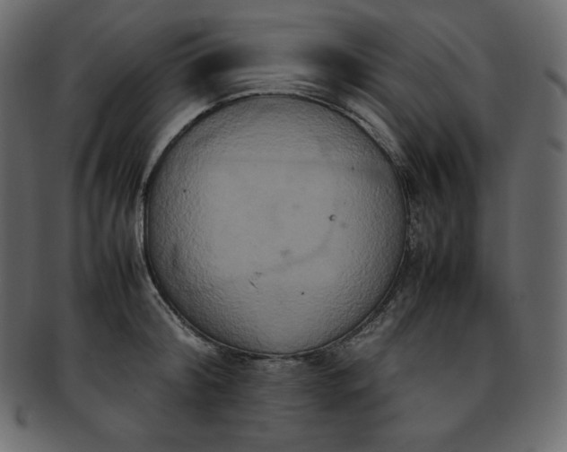 X0000093370804200710191115