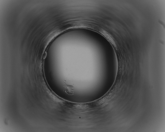 X0000093370805200710191115