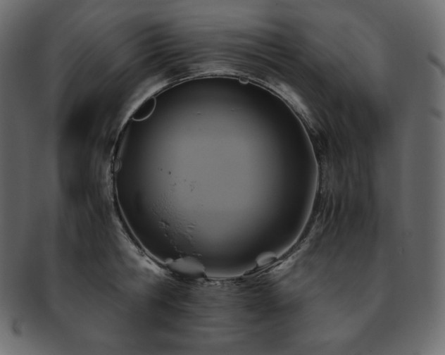 X0000093370806200710191115