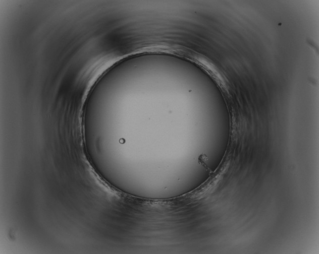 X0000093370808200710191115