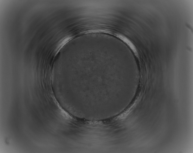 X0000093370809200710191115