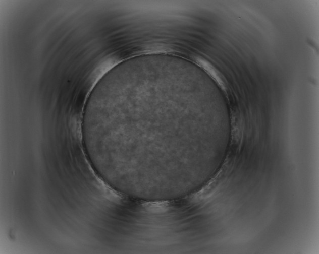 X0000093370810200710191115