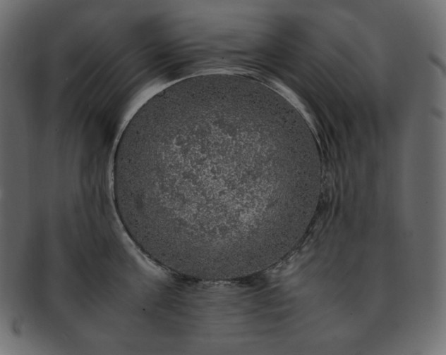 X0000093370811200710191115