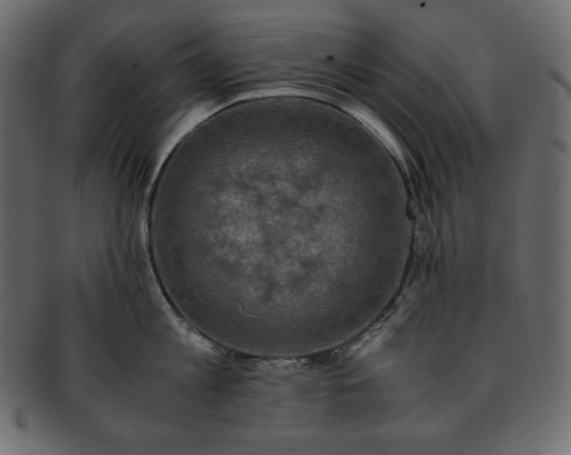 X0000093370813200710191115