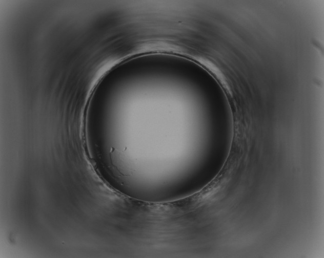 X0000093370815200710191115