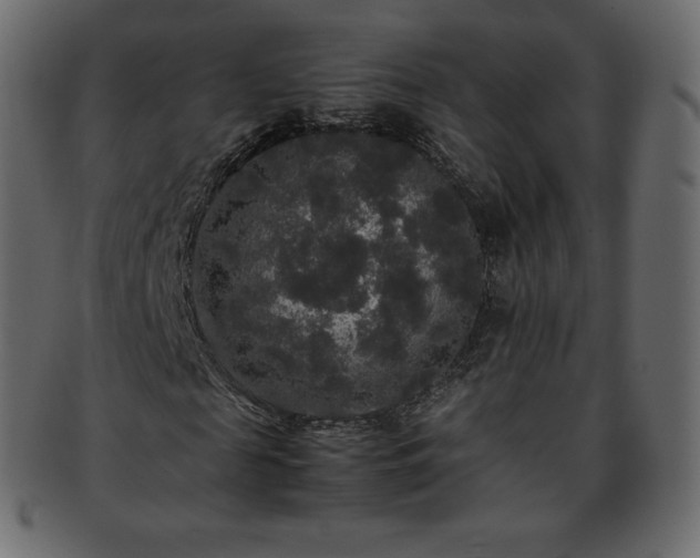 X0000093370817200710191114