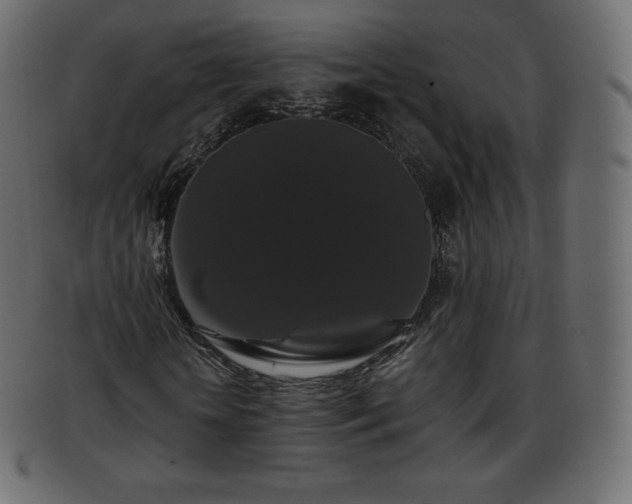 X0000093370818200710191114