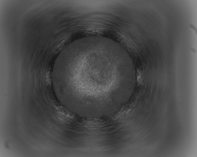 X0000093370819200710191114