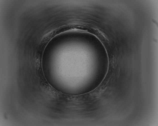 X0000093370821200710191114