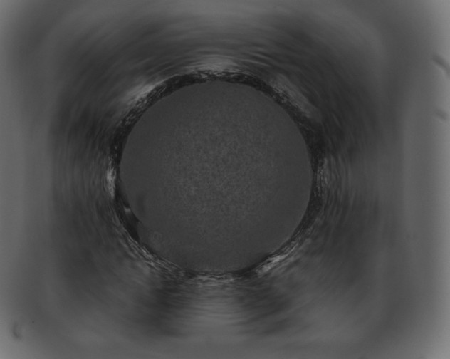 X0000093370822200710191114