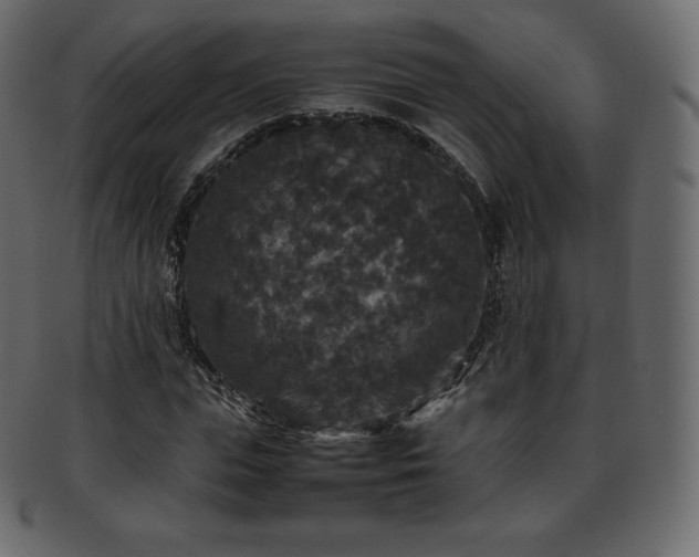 X0000093370823200710191114