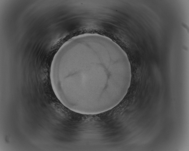 X0000093370824200710191114