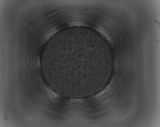 X0000093370825200710191114