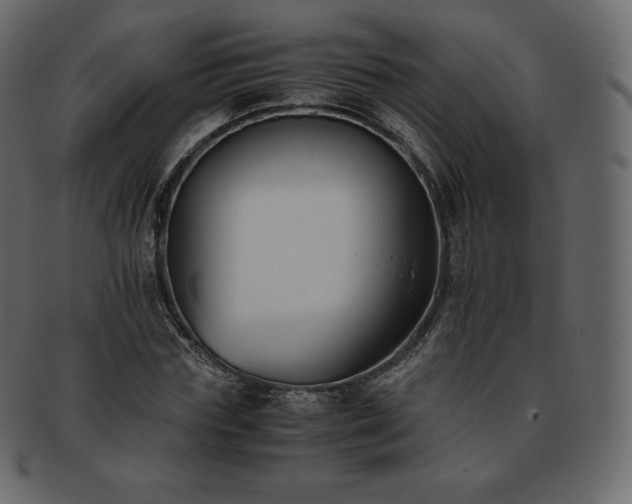 X0000093370827200710191114