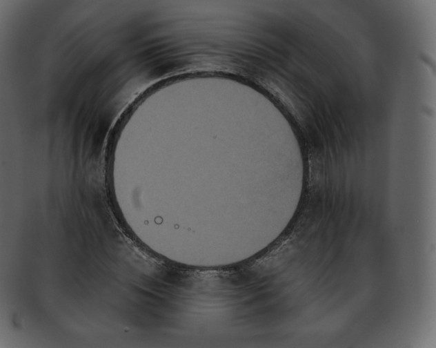 X0000093370828200710191114