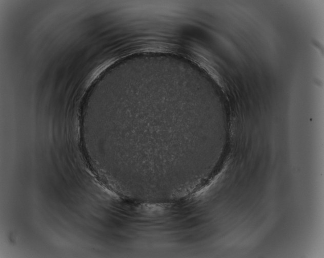 X0000093370829200710191114