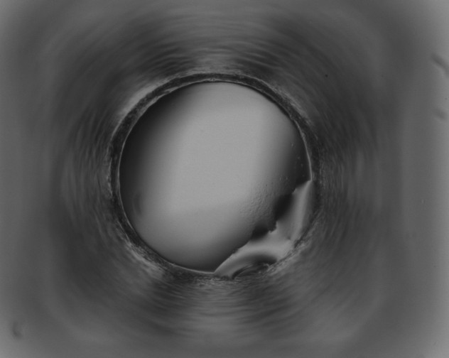 X0000093370830200710191114