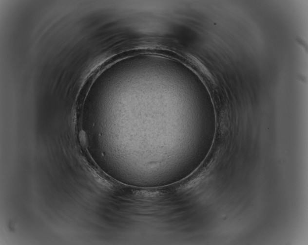 X0000093370831200710191114