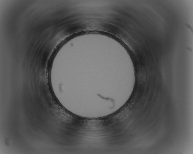 X0000093370832200710191114