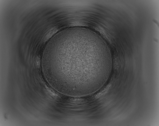 X0000093370833200710191114