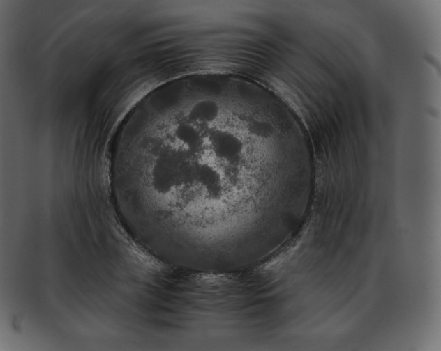 X0000093370835200710191114