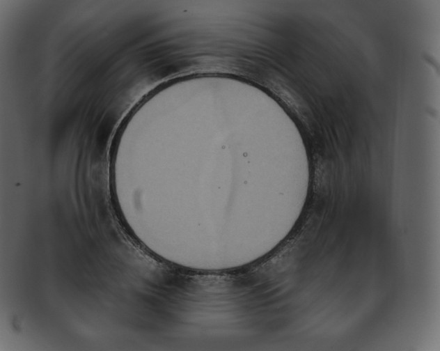 X0000093370836200710191114