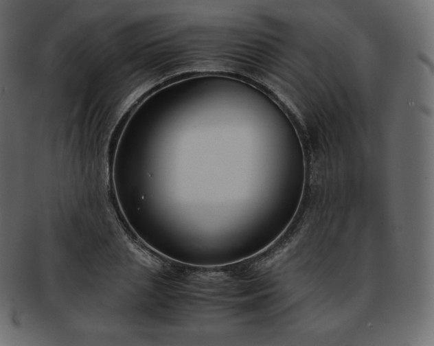 X0000093370837200710191114