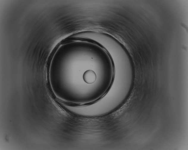 X0000093370838200710191114