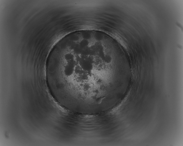 X0000093370839200710191114