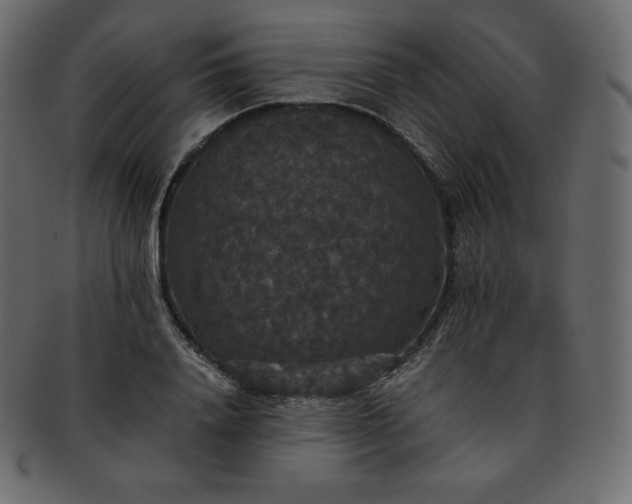 X0000093370840200710191114