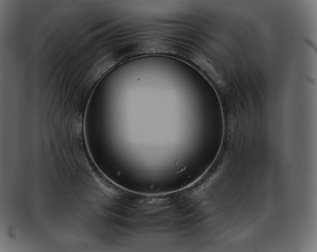 X0000093370841200710191114