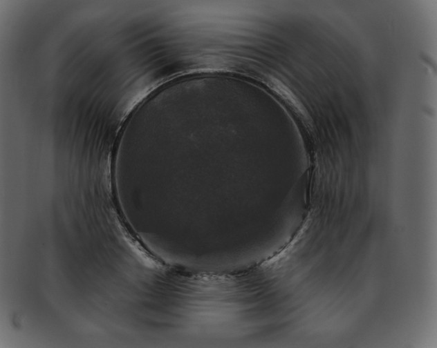 X0000093370842200710191114