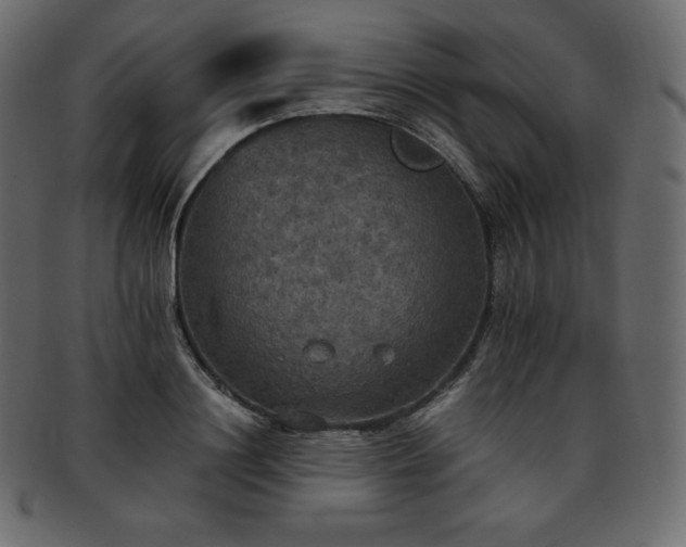 X0000093370844200710191114