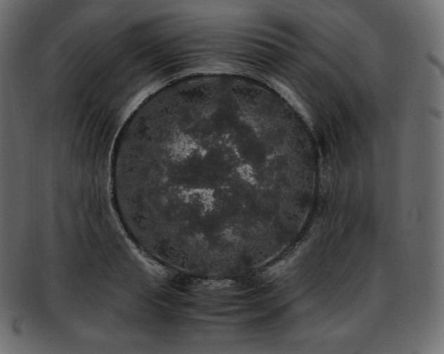 X0000093370845200710191114