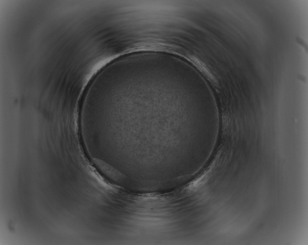 X0000093370846200710191114