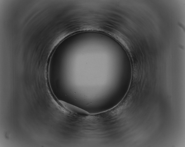 X0000093370847200710191114