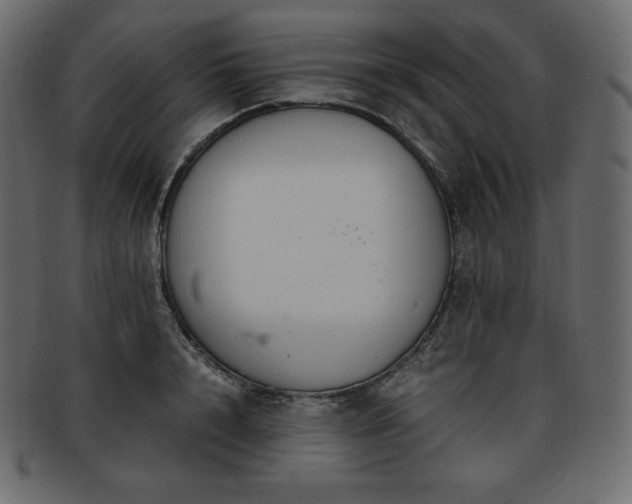 X0000093370848200710191114